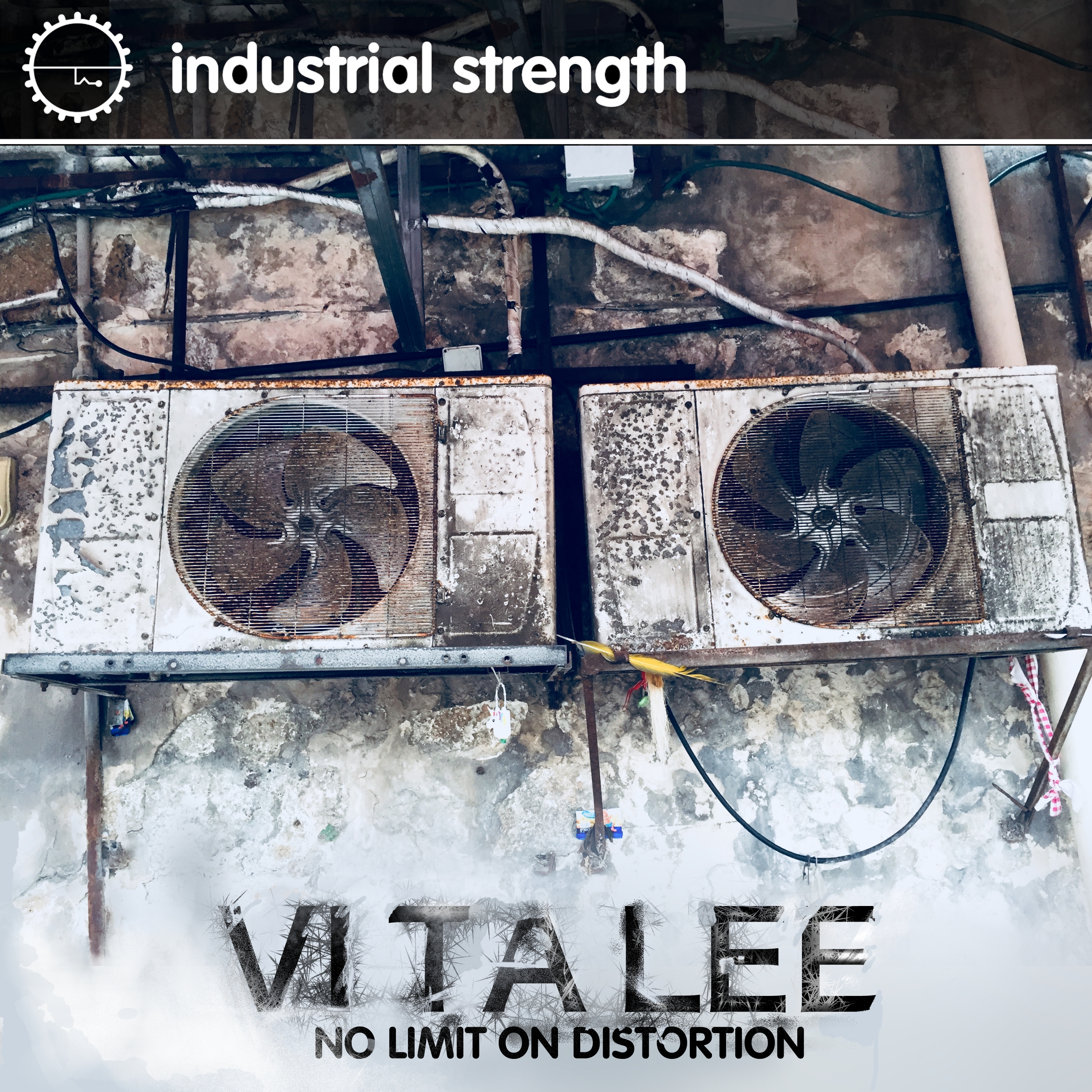 Industrial Strength Dildos